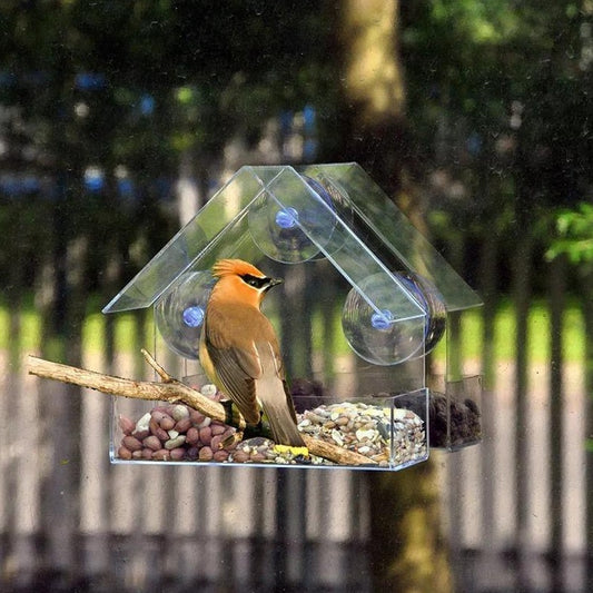 Mighty Suction Bird Feeder - Ezclics Pet Default Title