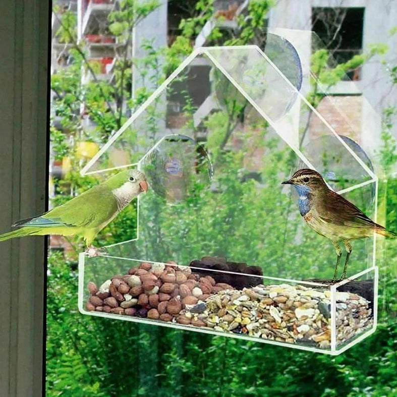 Mighty Suction Bird Feeder - Ezclics Pet