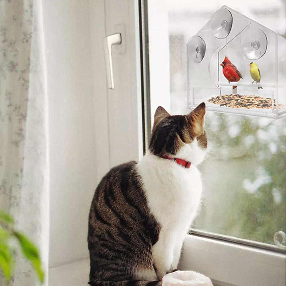 Mighty Suction Bird Feeder - Ezclics Pet
